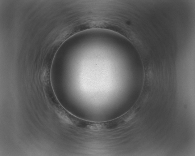 X0000078030079200611031548