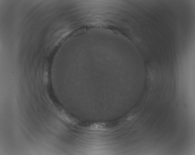 X0000078030080200611031548