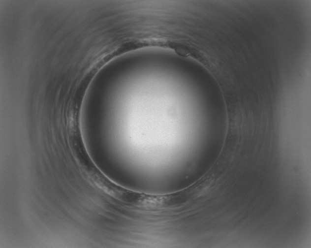 X0000078030084200611031549