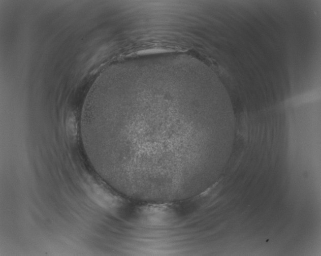 X0000078030086200611031549
