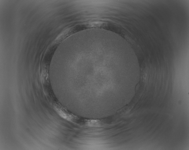 X0000078030091200611031549