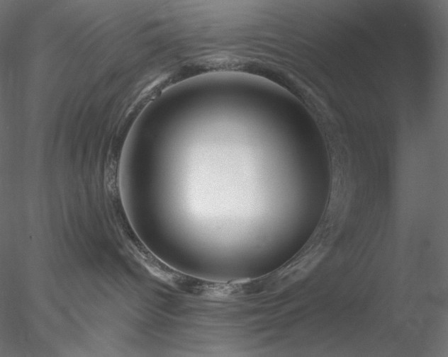 X0000078030096200611031549
