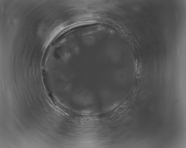 X0000078030099200611031548