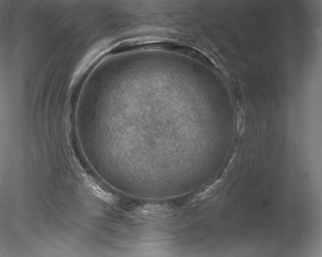 X0000078030101200611031548