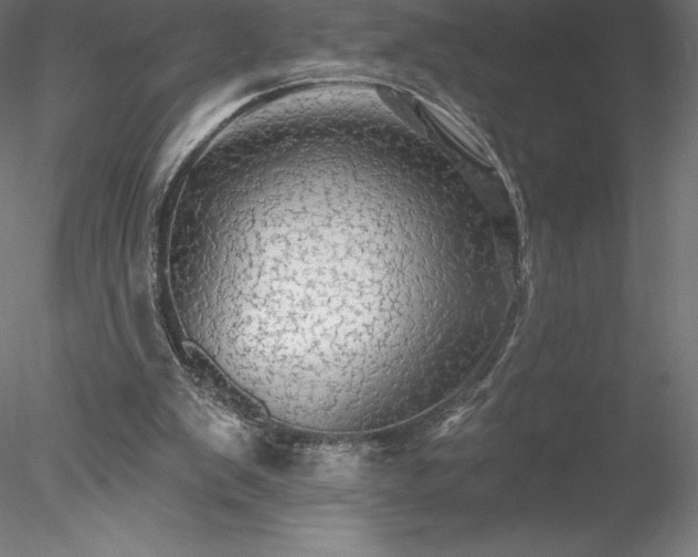 X0000078030103200611031548