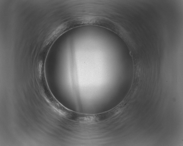 X0000078030118200611031548
