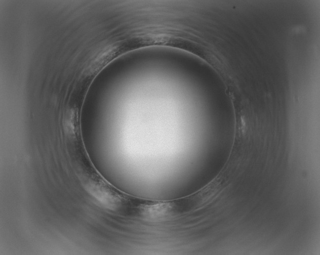X0000078030122200611031547