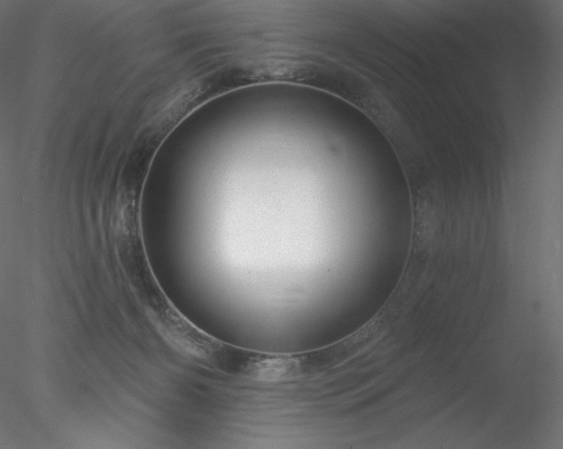 X0000078030126200611031547