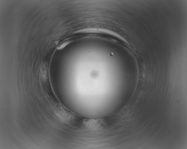 X0000078030129200611031547