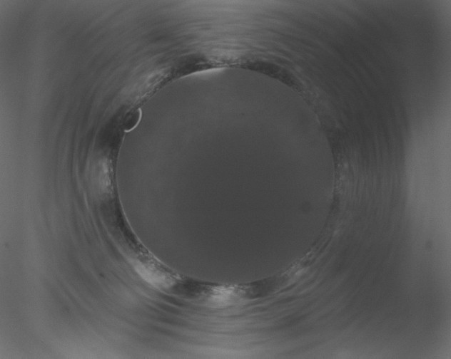 X0000078030130200611031547