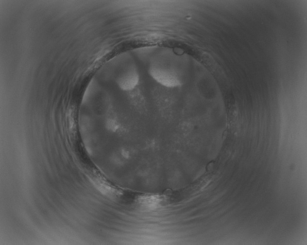 X0000078030131200611031547