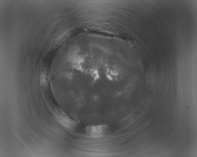 X0000078030134200611031547