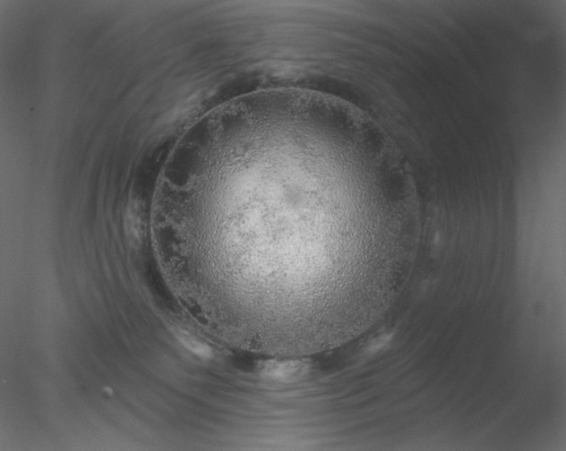 X0000078030135200611031547