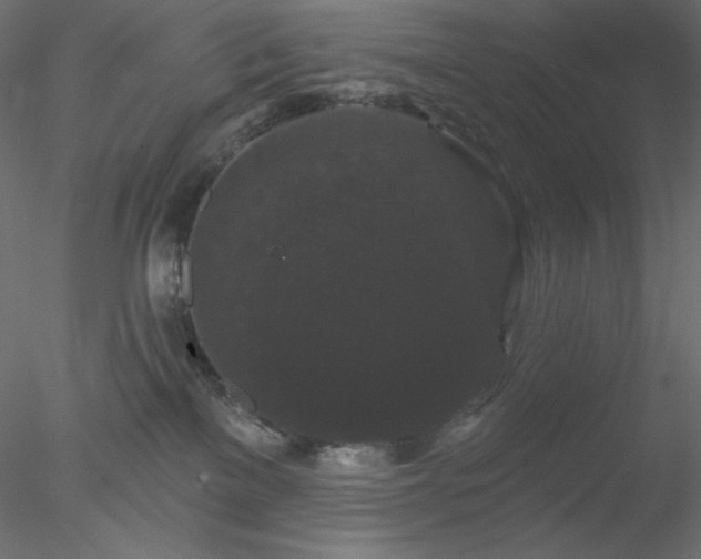X0000078030137200611031547