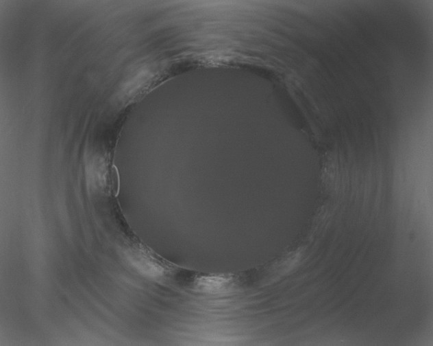 X0000078030139200611031547