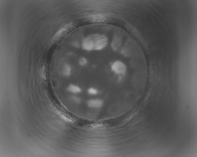 X0000078030161200611031547