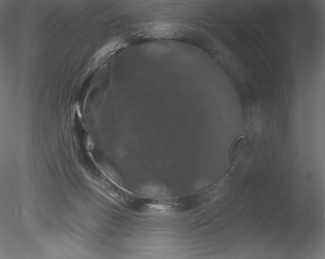 X0000078030167200611031547