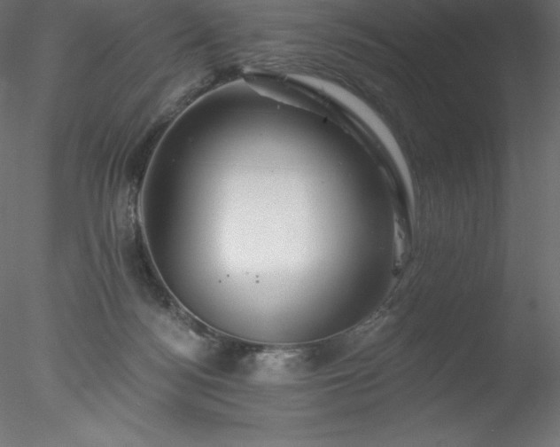 X0000078030172200611031547