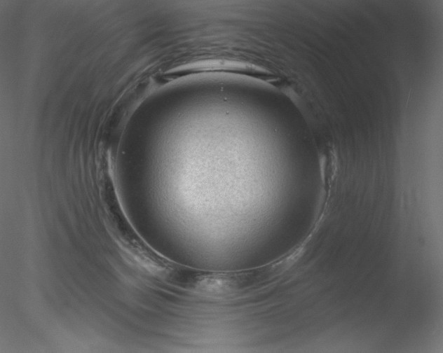 X0000078030174200611031547