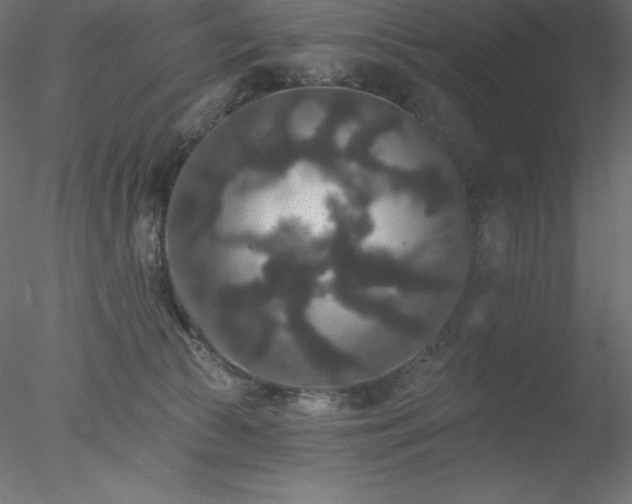 X0000078030177200611031547