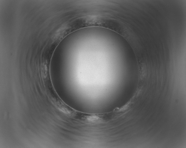 X0000078030183200611031547
