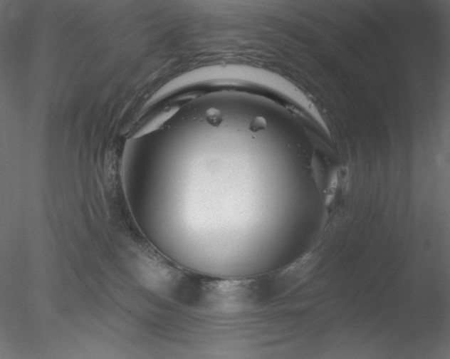 X0000078030184200611031547