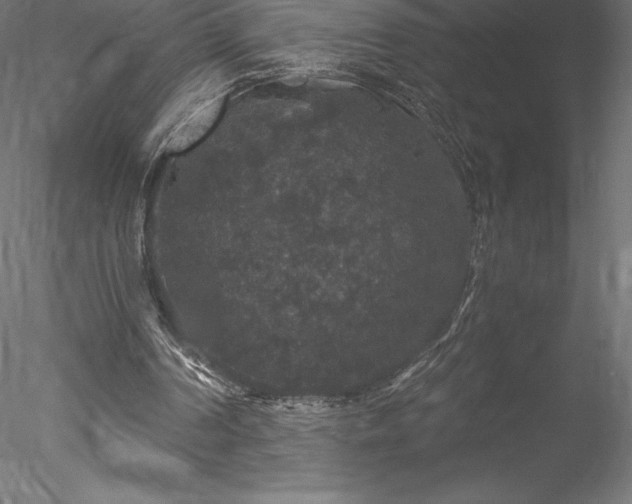 X0000078030194200611031546