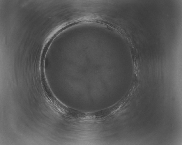 X0000078030196200611031546