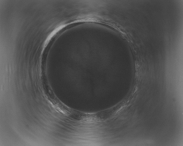 X0000078030200200611031546