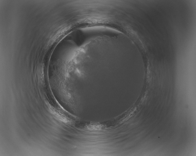 X0000078030202200611031546