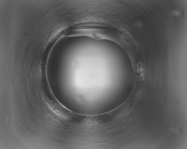 X0000078030207200611031546