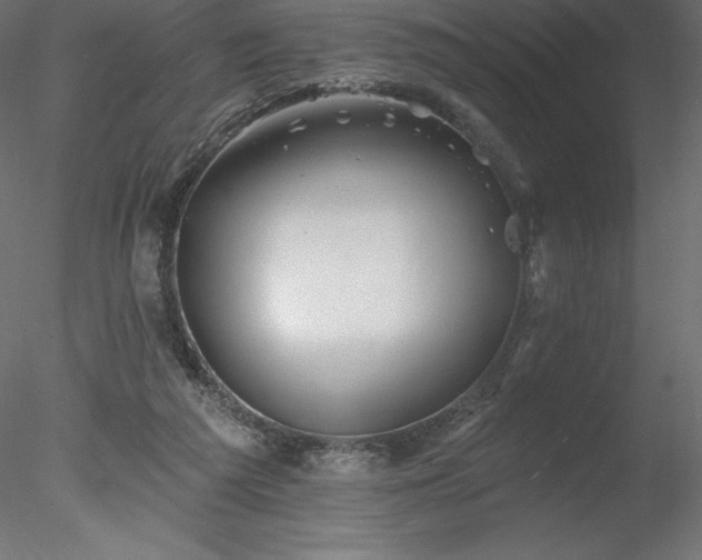 X0000078030209200611031546