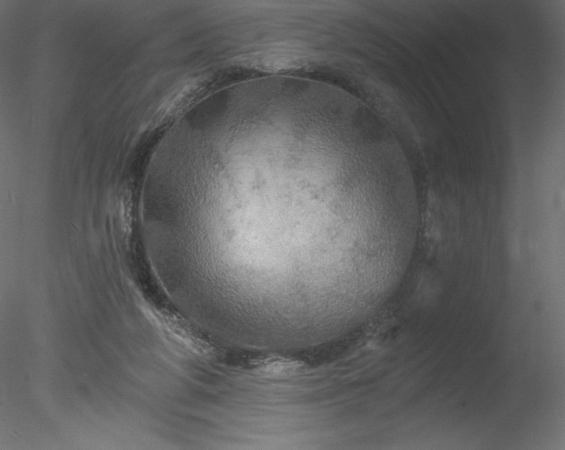X0000078030210200611031546