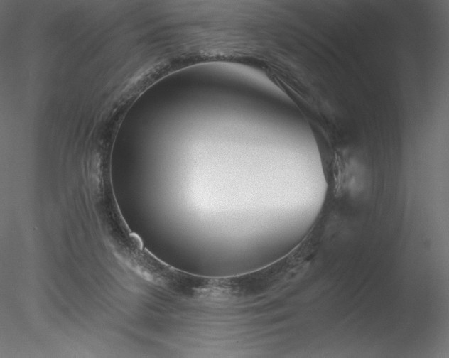 X0000078030211200611031546