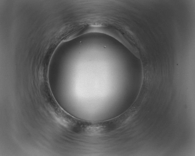 X0000078030213200611031546