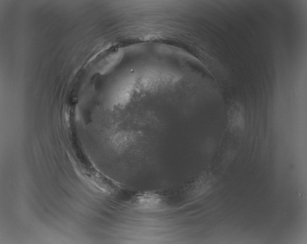 X0000078030214200611031546