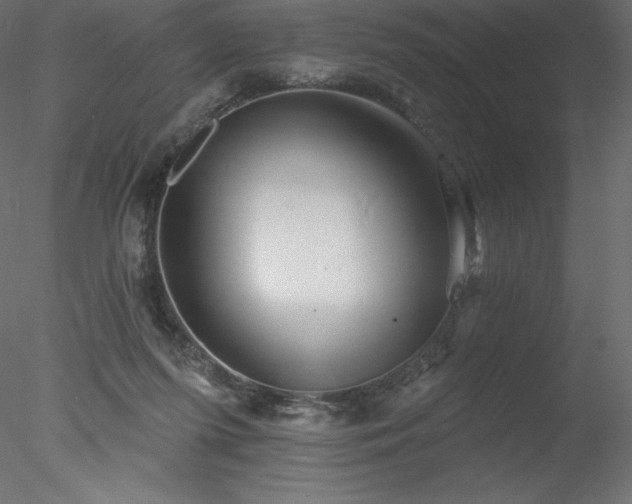 X0000078030215200611031546