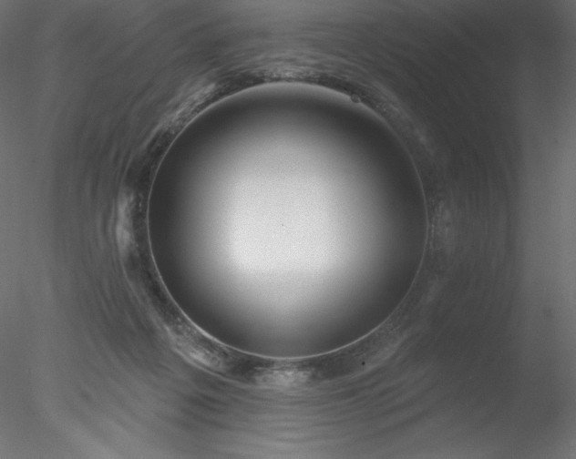 X0000078030217200611031546