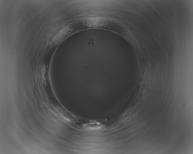 X0000078030219200611031546