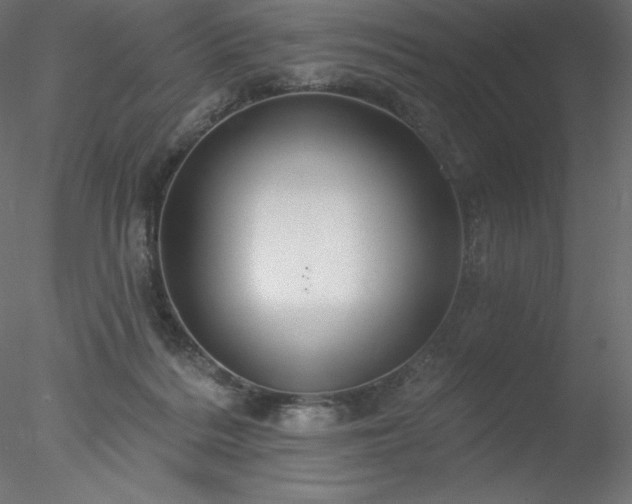 X0000078030220200611031546