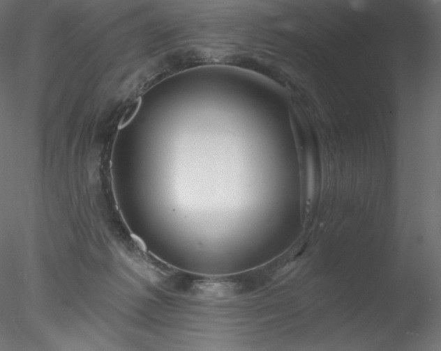 X0000078030221200611031546