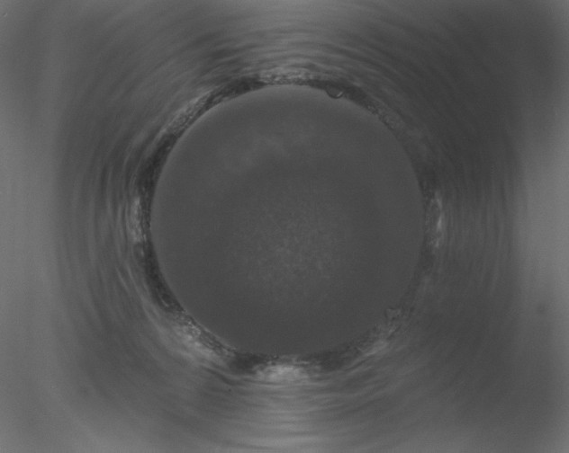X0000078030224200611031546