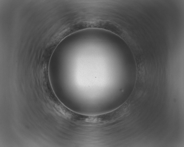 X0000078030225200611031546