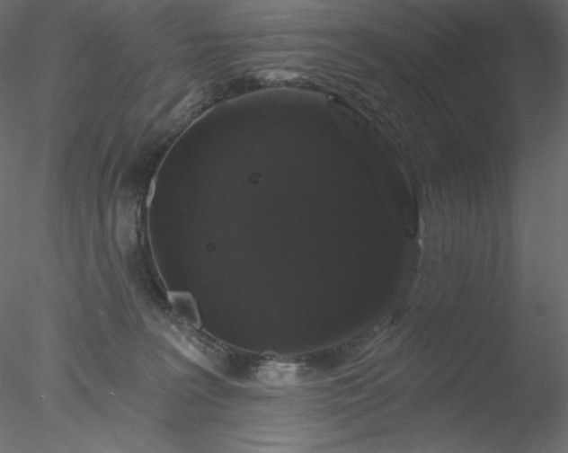 X0000078030227200611031546