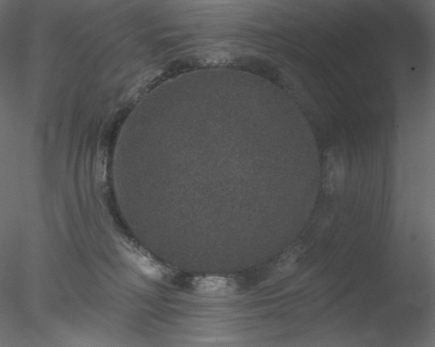 X0000078030230200611031546