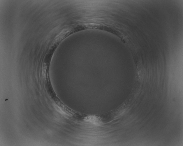 X0000078030231200611031546