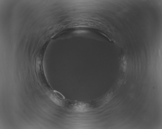 X0000078030235200611031546