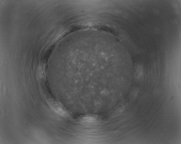X0000078030236200611031546