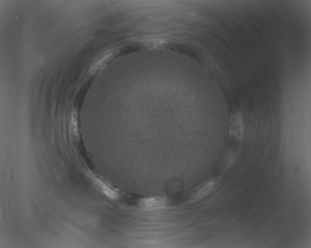 X0000078030238200611031546