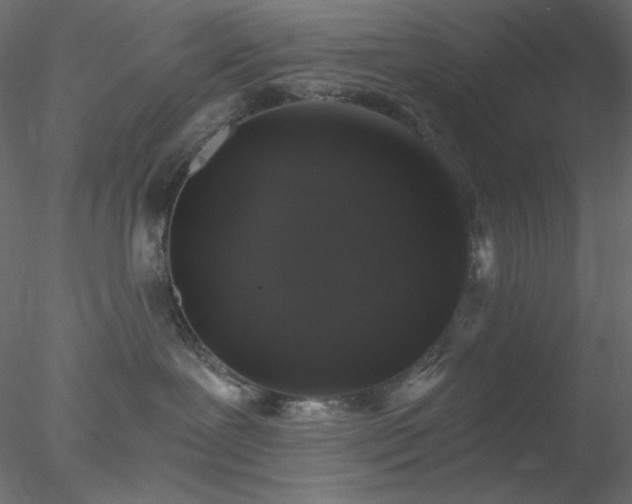 X0000078030239200611031546